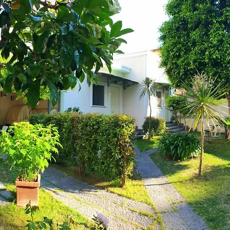 Tropeacentro לינה וארוחת בוקר 4*