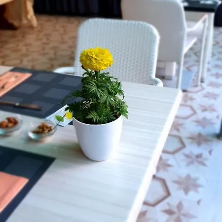 Bed and breakfast Tropeacentro 4*